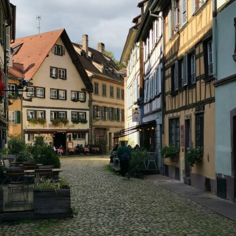 Chambord, brâme du cerf au crépuscule